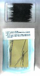 nad001.JPG (7360 bytes)