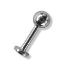 pierc(lab002).JPG (2129 bytes)