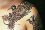 japones (25)