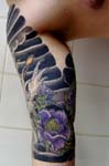 japones (30)