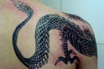 japones (34)