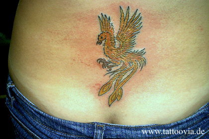 aves del paraiso