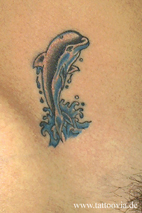 delfin001