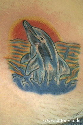 delfin002