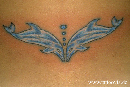delfin004