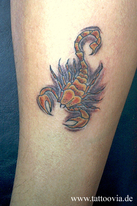 escorpion002