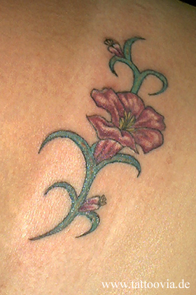 flor002