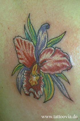 flor006