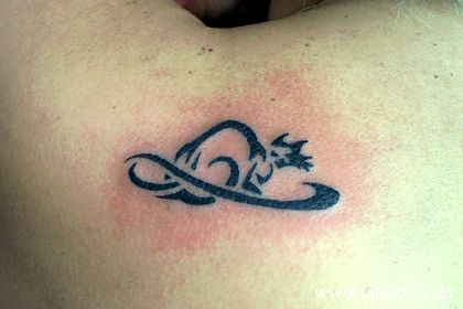 gato001