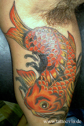 koi005b