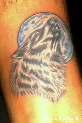 lobos004