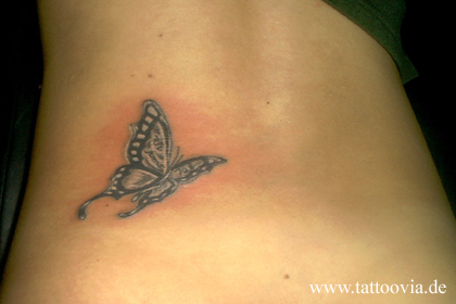 mariposas006