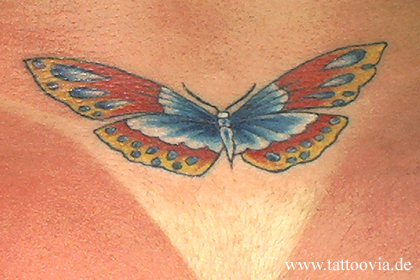 mariposas010