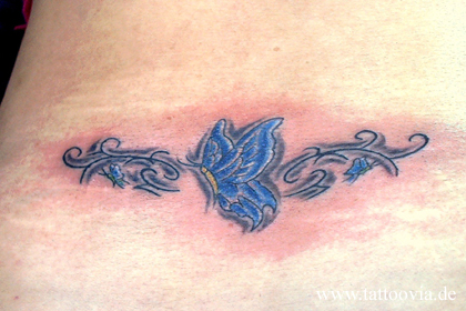 mariposas013
