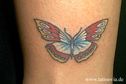mariposas023