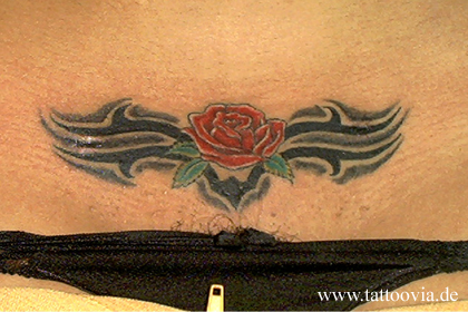 rosa001