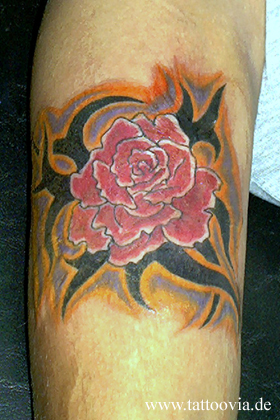 rosas001