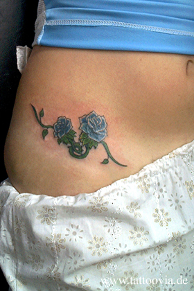 rosas007