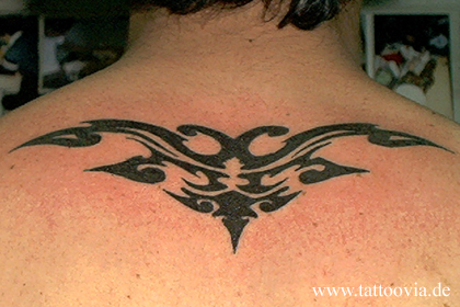 tribal224