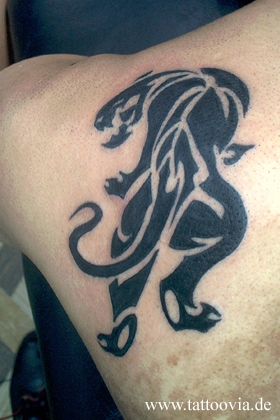tribal242