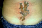 aves del paraiso