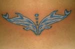 delfin004