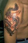 dragon002