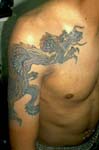 dragon005