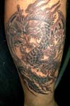 dragon012