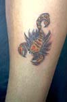 escorpion002