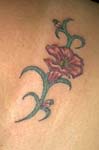 flor002