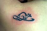 gato001