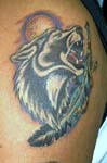 lobo001
