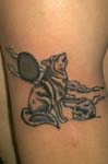 lobos001