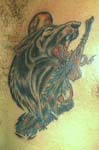 lobos003