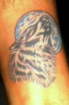 lobos004