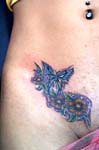mariposas004