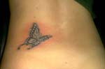mariposas006