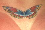 mariposas010
