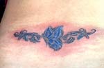 mariposas013