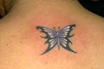 mariposas018