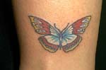 mariposas023