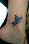 mariposas024