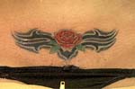 rosa001