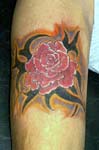 rosas001