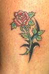 rosas006