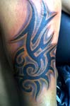 tribal081