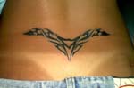 tribal152