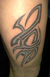 tribal277
