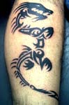 tribal285